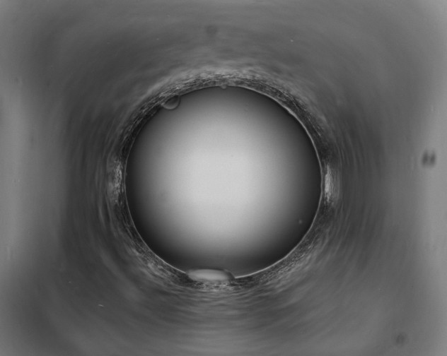 X0000102231492200807251222