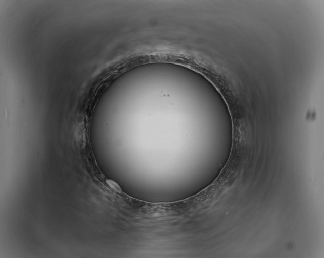 X0000102231493200807251222