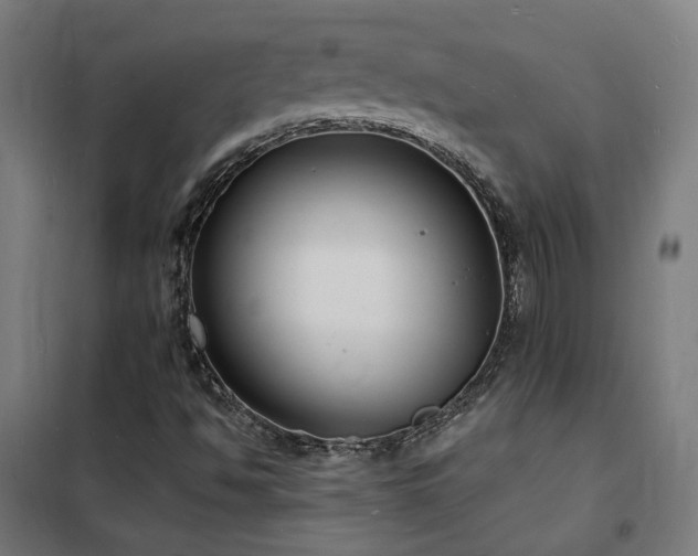 X0000102231494200807251222