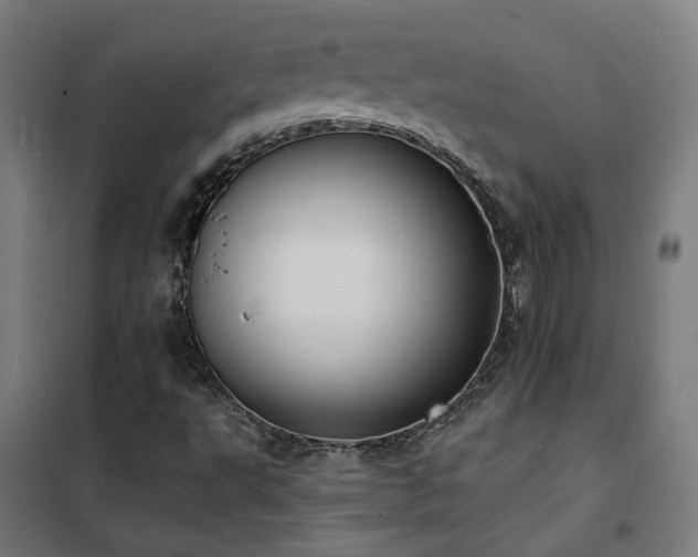 X0000102231495200807251222