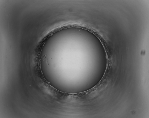 X0000102231496200807251222