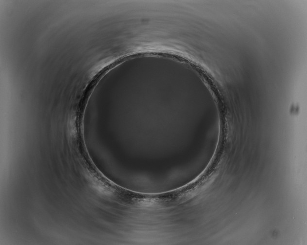 X0000102231497200807251222