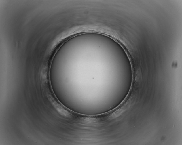 X0000102231499200807251222