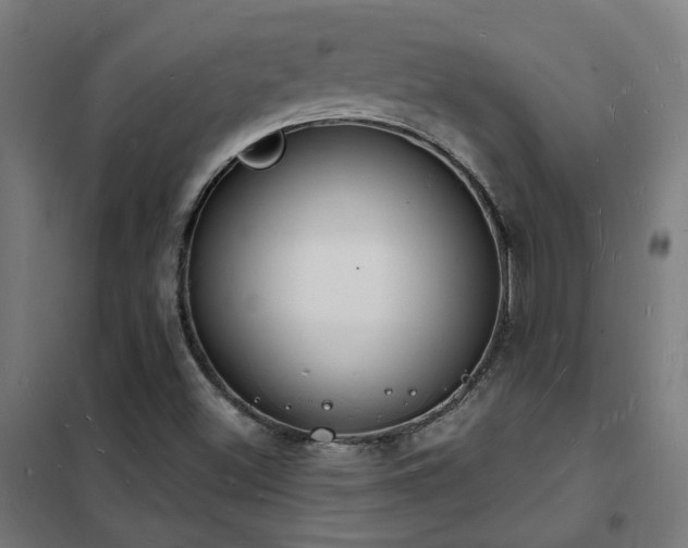 X0000102231500200807251222