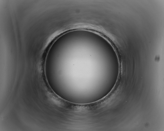 X0000102231501200807251223