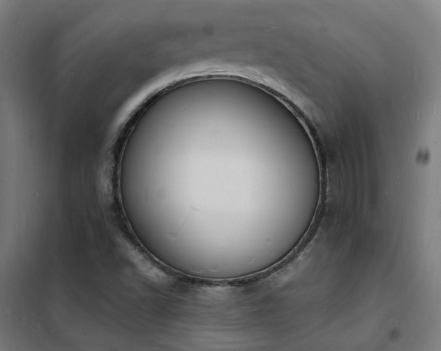 X0000102231502200807251223