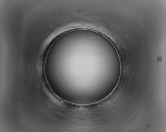X0000102231503200807251223