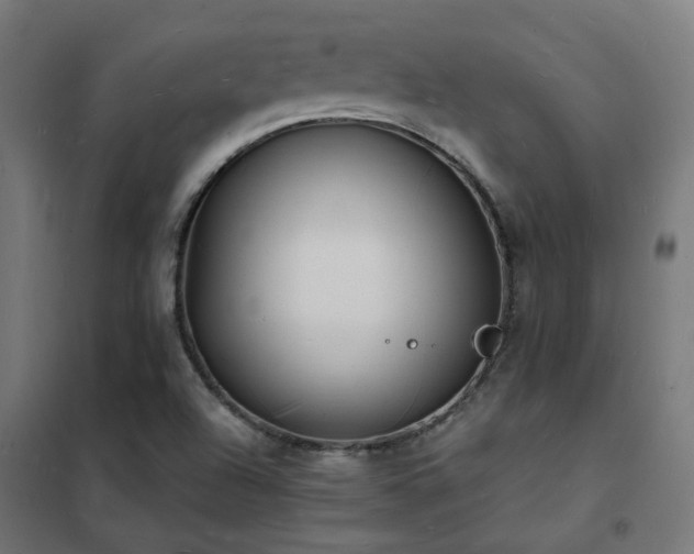 X0000102231504200807251223