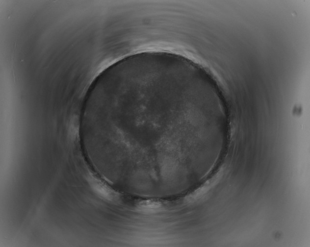 X0000102231505200807251223