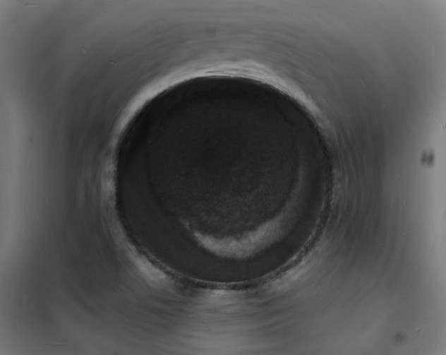 X0000102231506200807251223