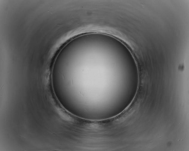 X0000102231507200807251223