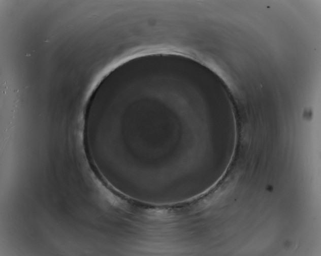 X0000102231508200807251223