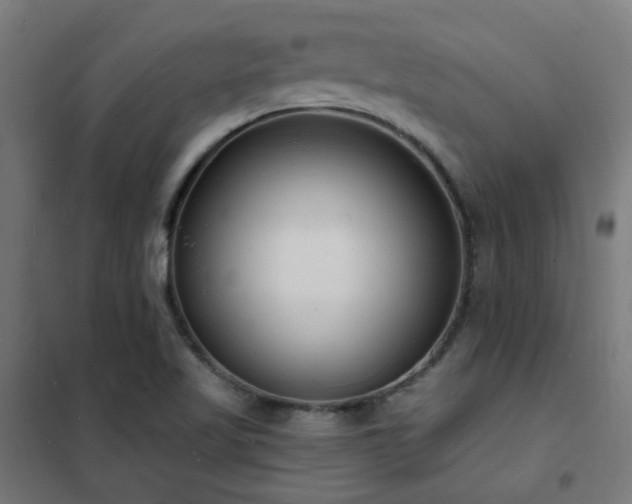 X0000102231509200807251223