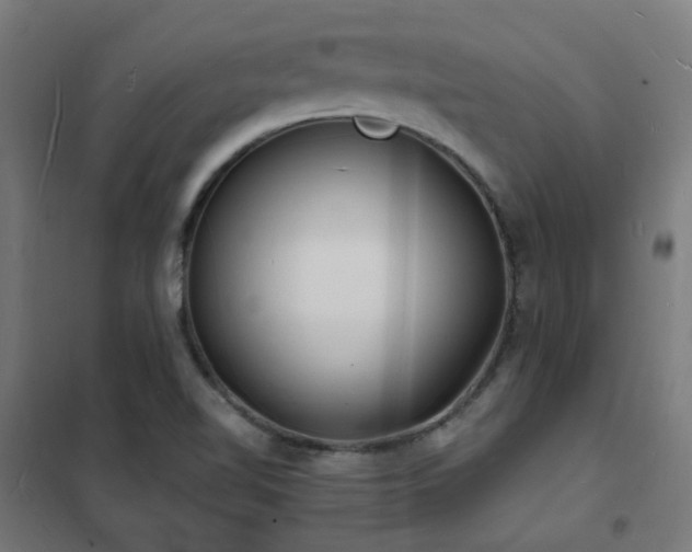 X0000102231510200807251223