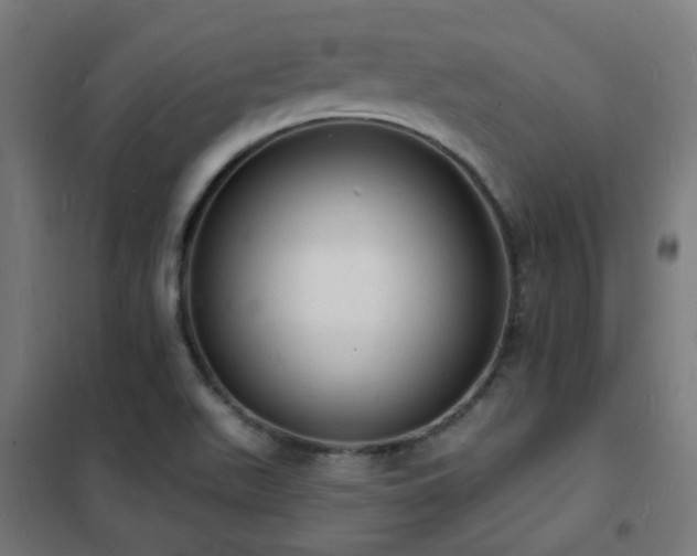X0000102231511200807251223