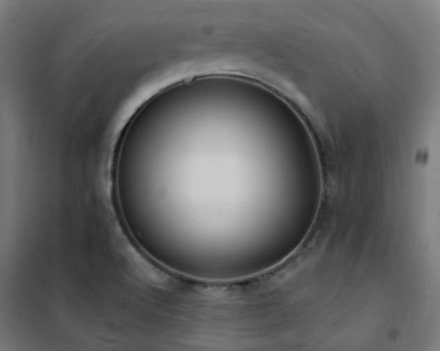 X0000102231512200807251223
