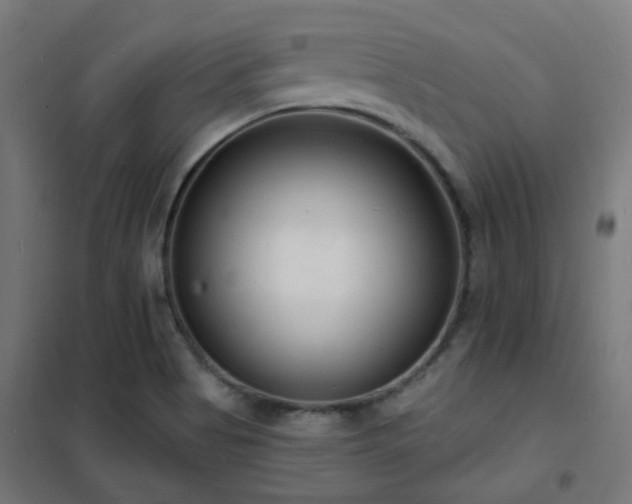 X0000102231513200807251223