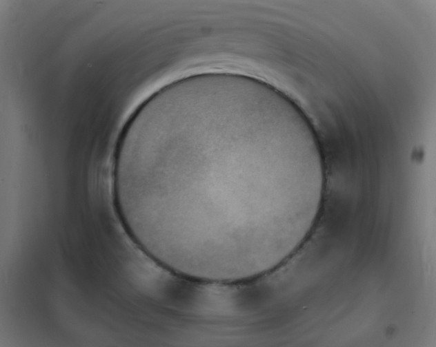 X0000102231514200807251223