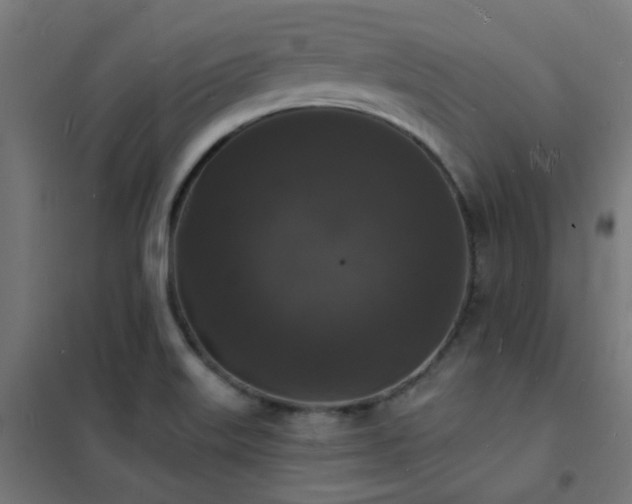 X0000102231515200807251223