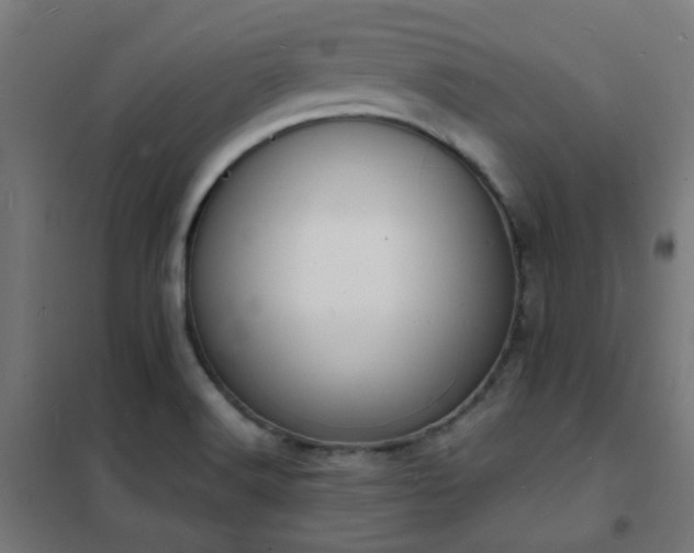X0000102231516200807251223