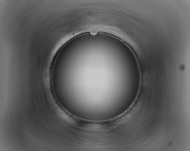 X0000102231517200807251223