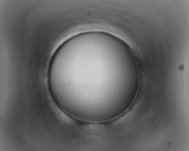 X0000102231518200807251223