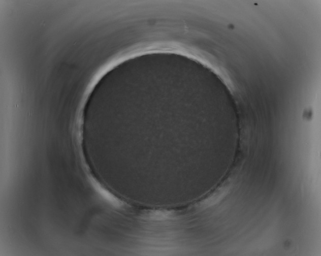 X0000102231519200807251223