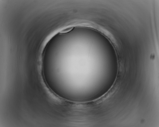X0000102231520200807251223