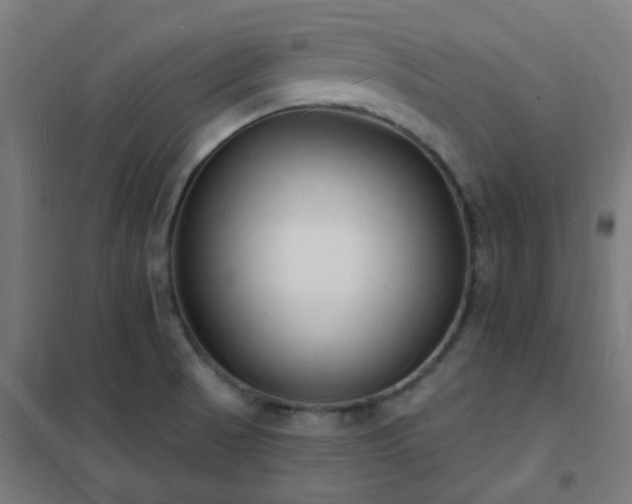 X0000102231521200807251223
