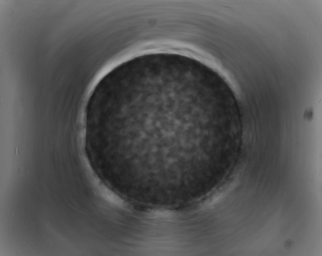 X0000102231522200807251223