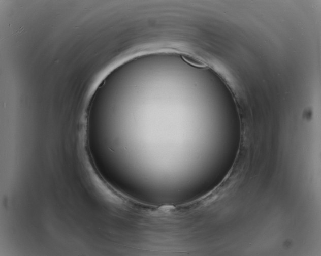 X0000102231524200807251223