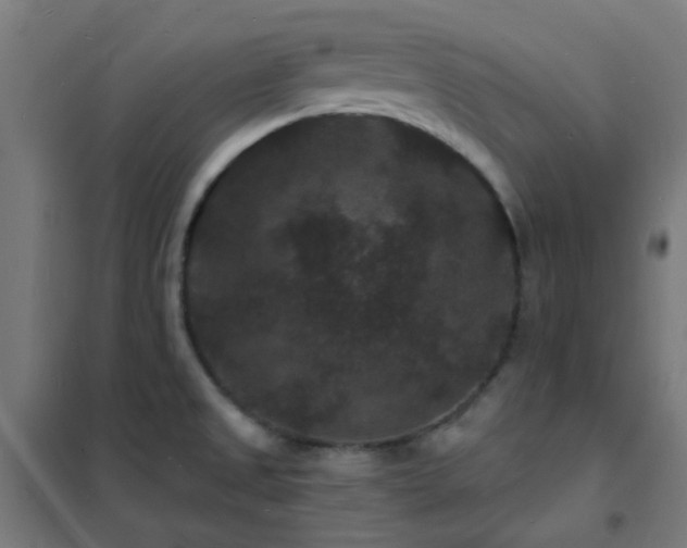 X0000102231525200807251223