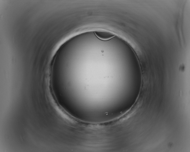 X0000102231526200807251223