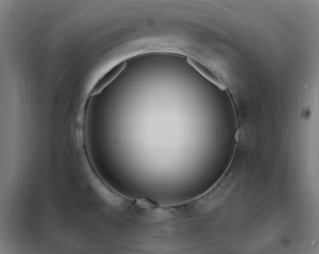 X0000102231528200807251223