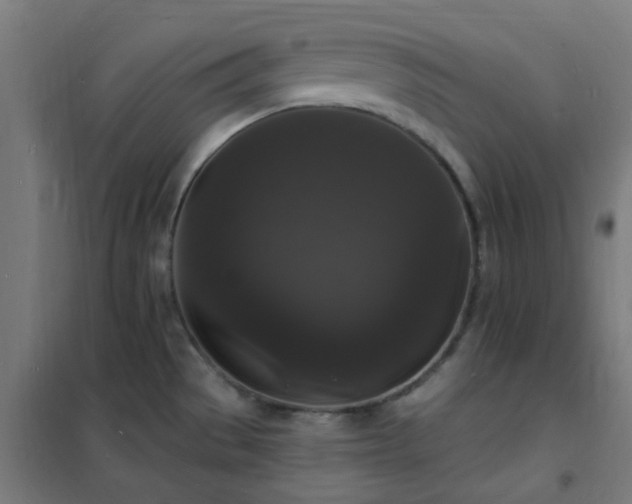 X0000102231529200807251223