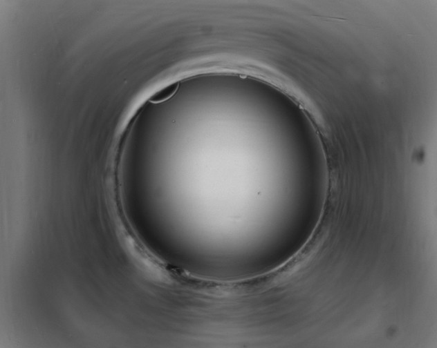 X0000102231530200807251223