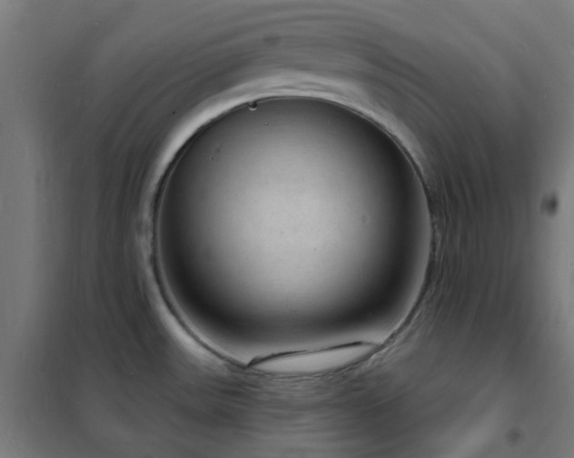 X0000102231531200807251223