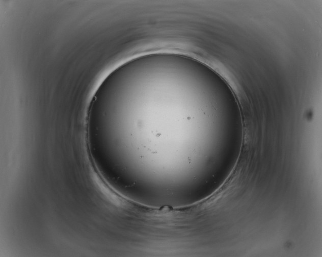 X0000102231532200807251223