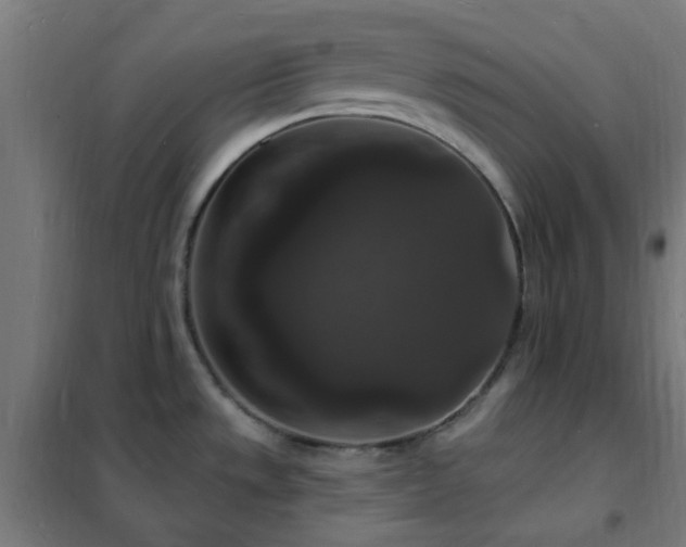 X0000102231533200807251223