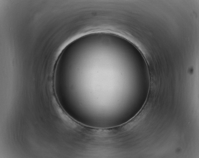X0000102231534200807251223