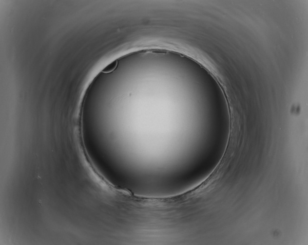 X0000102231536200807251223