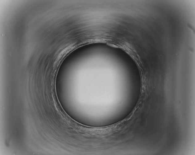 X0000102230001200808011236