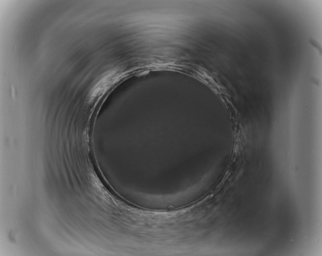 X0000102230002200808011236