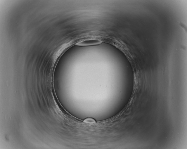 X0000102230003200808011236