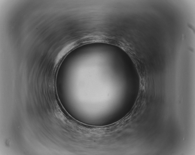 X0000102230004200808011236