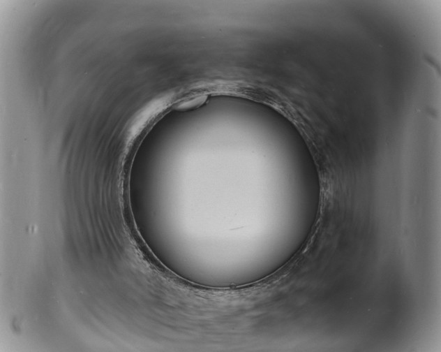 X0000102230006200808011235