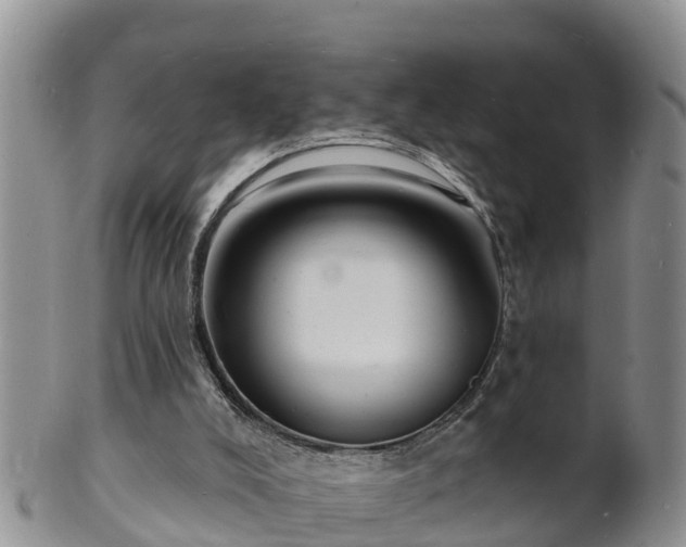 X0000102230008200808011235