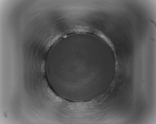 X0000102230009200808011235