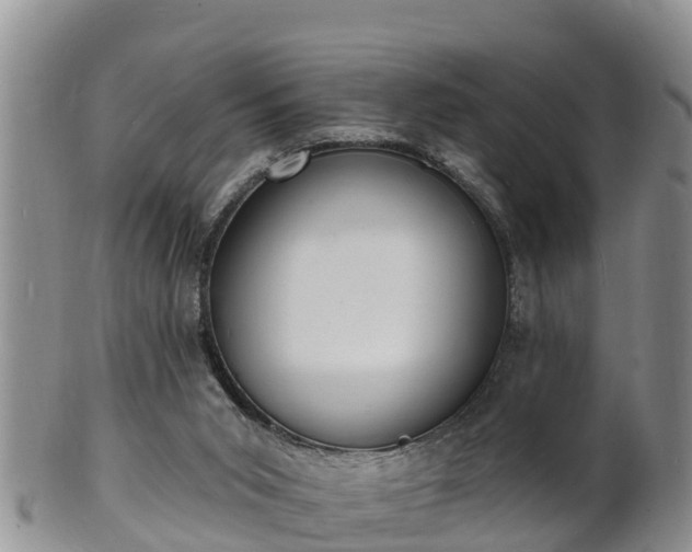 X0000102230015200808011235