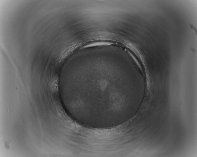X0000102230017200808011235